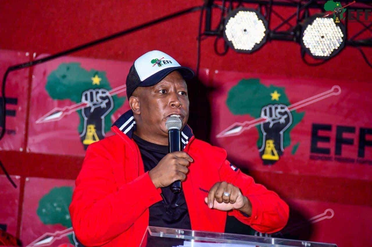 EFF President Julius Malema