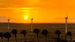 Renewable Energy Farm