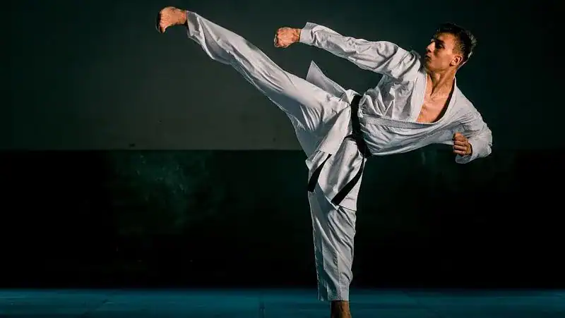 World Karate Championship