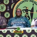 MK Party Chief Whip Bonginkosi Mngadi