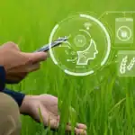 innovative methodology for detecting agricultural plant diseases at an early, asymptomatic stage.