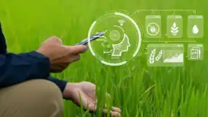 innovative methodology for detecting agricultural plant diseases at an early, asymptomatic stage.