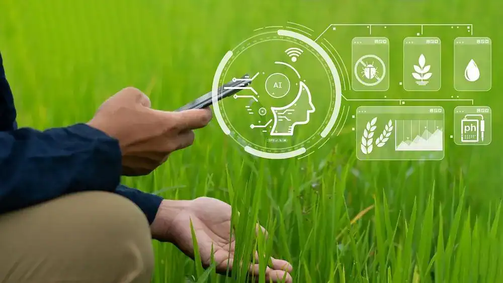 innovative methodology for detecting agricultural plant diseases at an early, asymptomatic stage.