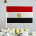 Egypt Pharmaceutical Market Olga Butranova