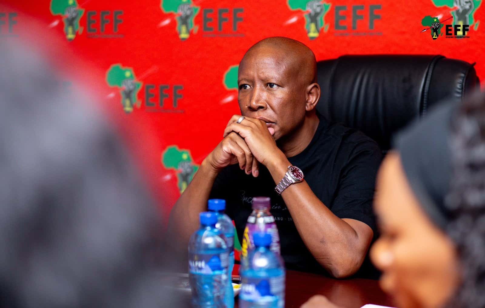 EFF President Julius Malema