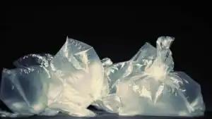Plastic waste, pollution, environmental impact, waste management, sustainability.