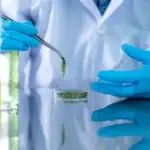 Indonesia International Tropical Seaweed Research Centre