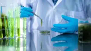 Indonesia International Tropical Seaweed Research Centre