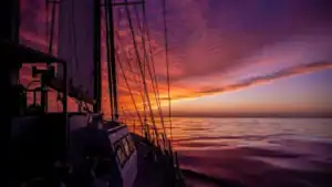 Russian-Brazilian World Expedition in Support of BRICS