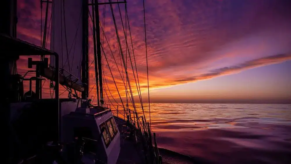 Russian-Brazilian World Expedition in Support of BRICS