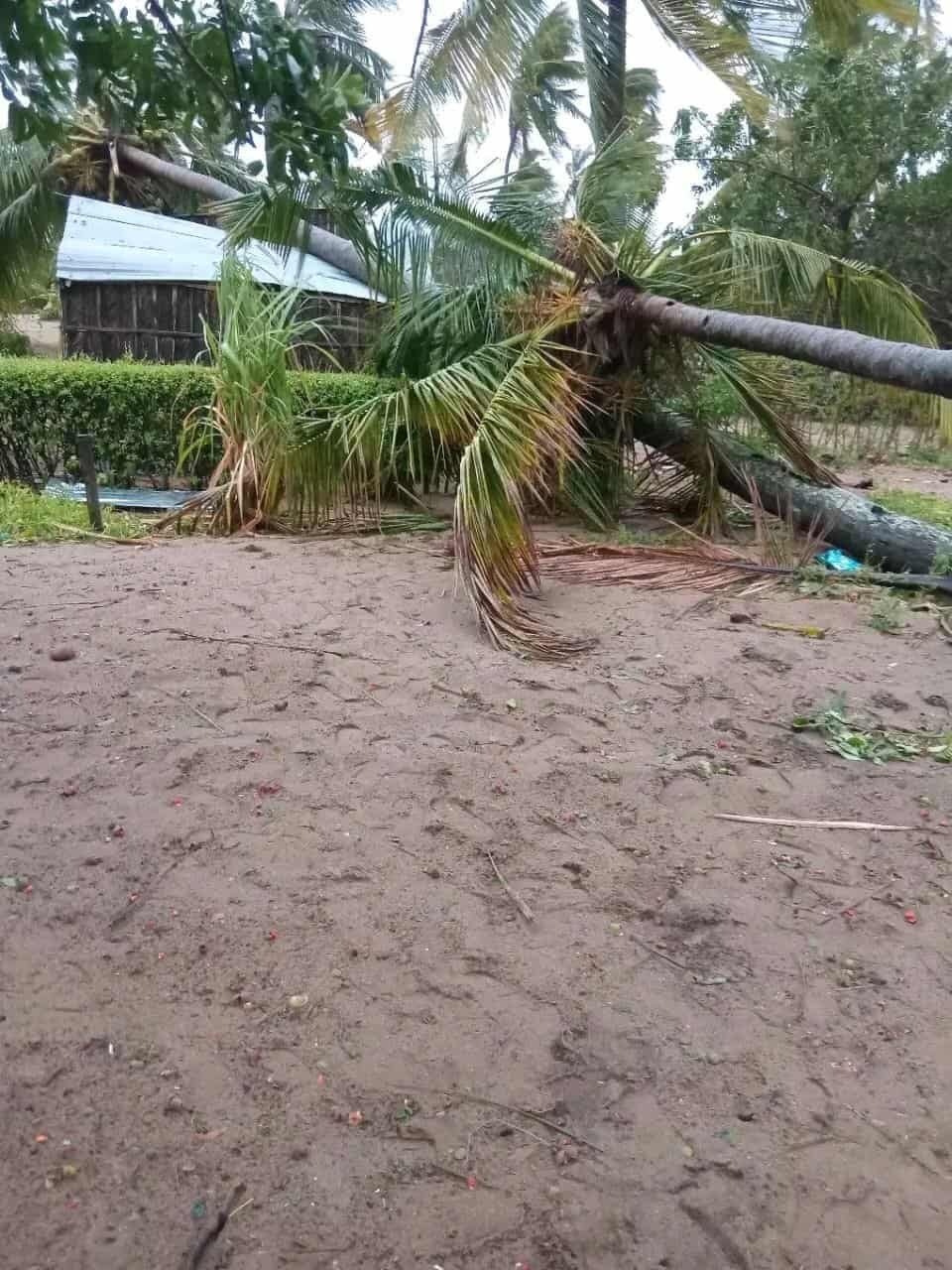 Tropical Storm Gezani