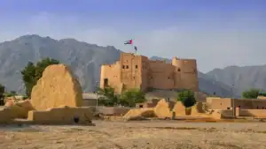 UAE Archaeological Heritage Site