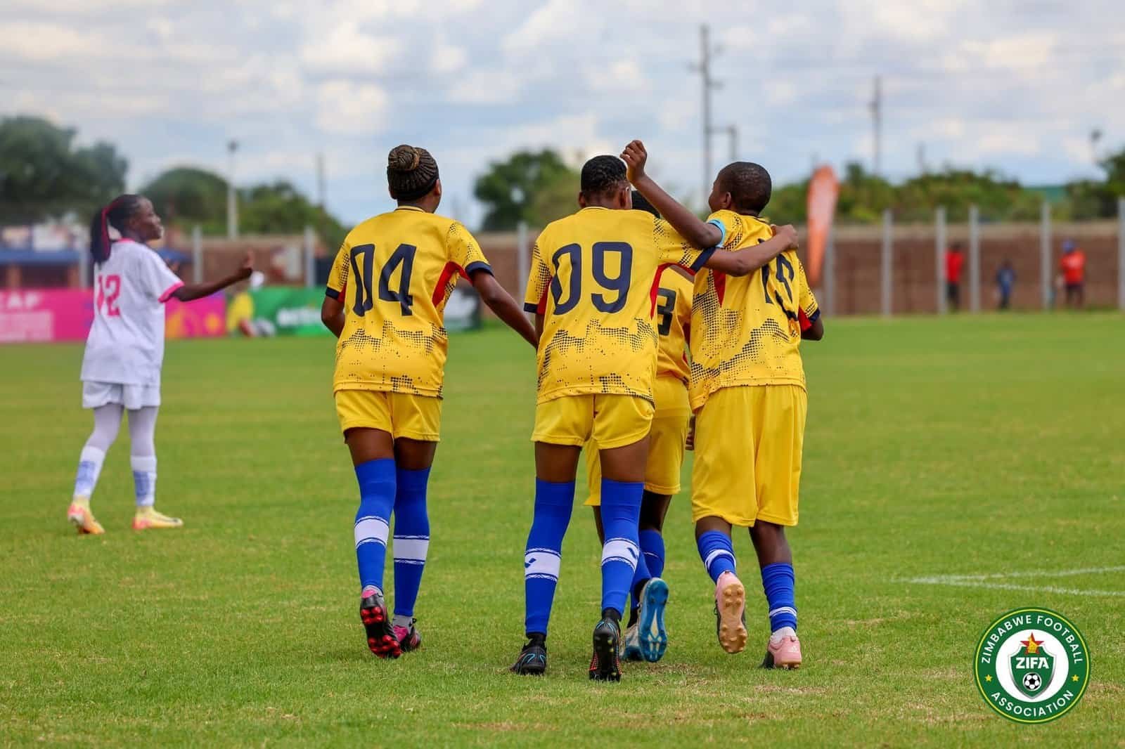 Zimbabwean Football Association (ZIFA)