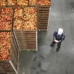 Zero Tariffs Drive Growth in Zimbabwe’s Agricultural Exports to China