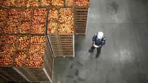 Zero Tariffs Drive Growth in Zimbabwe’s Agricultural Exports to China
