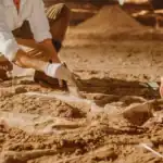 Giant Dinosaur Discovered in Brazil Sheds New Light on Evolution of Massive Herbivores