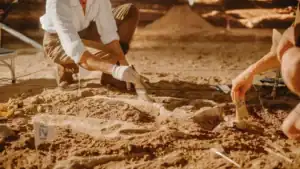 Giant Dinosaur Discovered in Brazil Sheds New Light on Evolution of Massive Herbivores