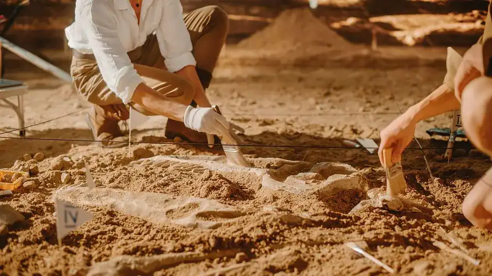 Giant Dinosaur Discovered in Brazil Sheds New Light on Evolution of Massive Herbivores