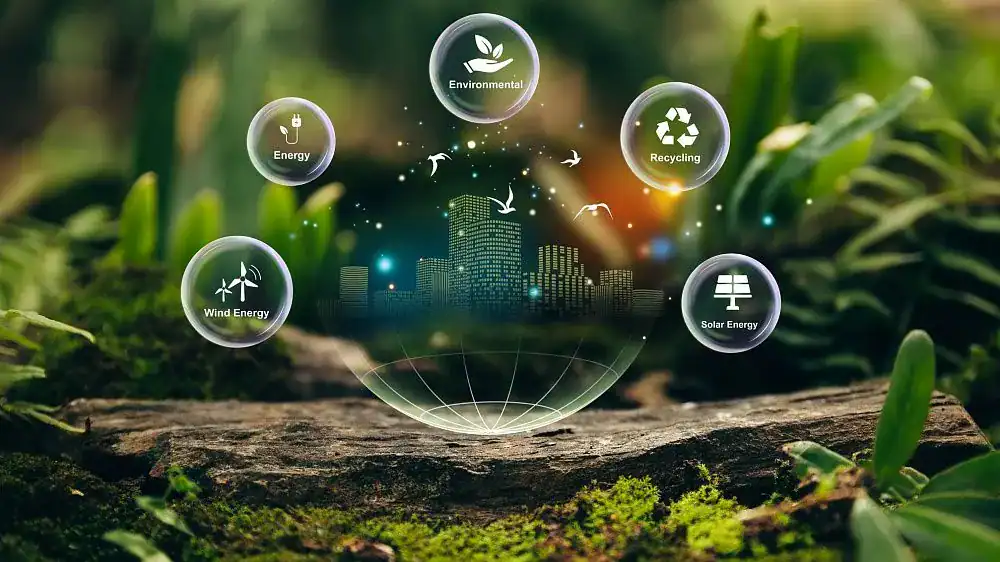 Egypt Biodiversity Conservation