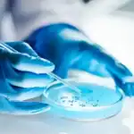 Russian Scientists Develop Experimental Cancer Therapy Targeting Dormant Tumour Cells