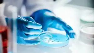 Russian Scientists Develop Experimental Cancer Therapy Targeting Dormant Tumour Cells