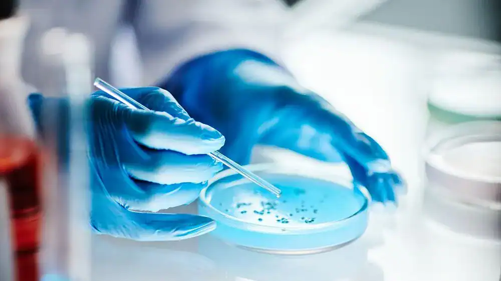 Russian Scientists Develop Experimental Cancer Therapy Targeting Dormant Tumour Cells