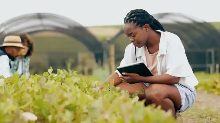 Ethiopia Adopts National Strategies for Sustainable Agricultural Development and Environmental Protection