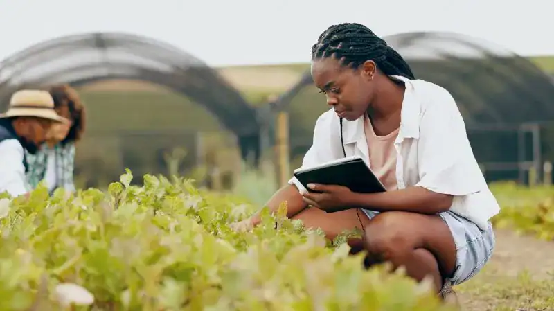 Ethiopia Adopts National Strategies for Sustainable Agricultural Development and Environmental Protection