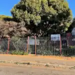 Two Learners Killed in Gauteng School Stabbings