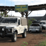 Kruger-Mozambique Crossing Back in Operation