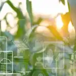 Egypt Advances Food Security Strategy Through Agricultural Expansion and Innovation