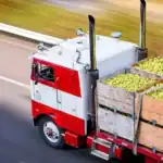 Brazil Secures New Agricultural Export Markets in Ethiopia