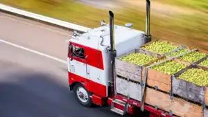 Brazil Secures New Agricultural Export Markets in Ethiopia