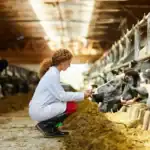 Brazil Allocates US$90 Million to Support Family Dairy Farms