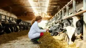 Brazil Allocates US$90 Million to Support Family Dairy Farms