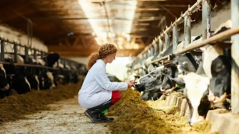 Brazil Allocates US$90 Million to Support Family Dairy Farms