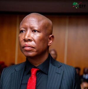 Malema Wins Bid to Appeal 5 Year Jail Sentence