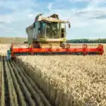 Nigeria Approves 57 New Crop Varieties to Boost Food Security and Agricultural Productivity