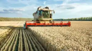 Nigeria Approves 57 New Crop Varieties to Boost Food Security and Agricultural Productivity