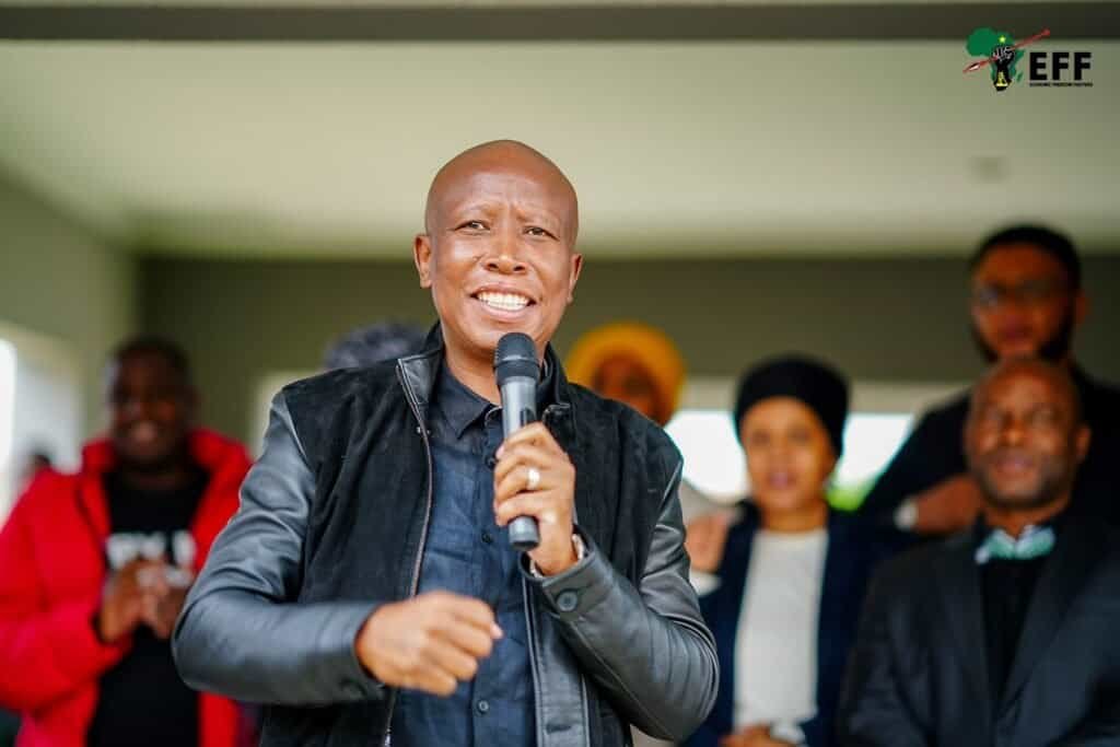 Julius Malema Demands R1 Million, Apology from Ngizwe Mchunu Over ‘False’ Drug Dealer Claims
