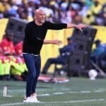 Miguel Cardoso: I knew I Would Stay at Sundowns