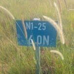 Easter Travel Begins Under Tight Safety Measures as N1 Crash Raises Alarm