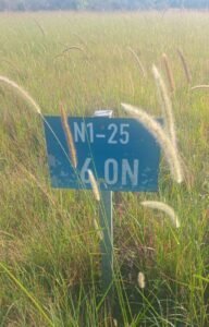 Easter Travel Begins Under Tight Safety Measures as N1 Crash Raises Alarm