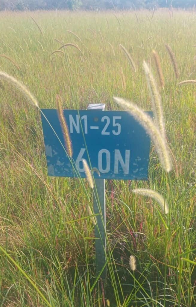 Easter Travel Begins Under Tight Safety Measures as N1 Crash Raises Alarm