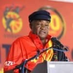 COSATU Hails ConCourt Blow to NTI BRP