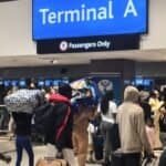 BMA Deports 295 Ghanaians as Immigration Violations Spark Online Tensions