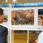 Photo Exhibition Highlights China-Kenya Cooperation in Biodiversity Conservation