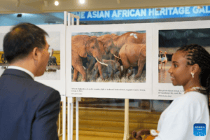 Photo Exhibition Highlights China-Kenya Cooperation in Biodiversity Conservation