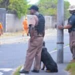 Department of Correctional Services (DCS)