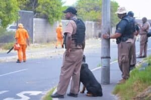 Department of Correctional Services (DCS)